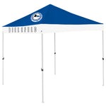 DSC Arminia Bielefeld Bundesliga Popup Tent Top Canopy Cover